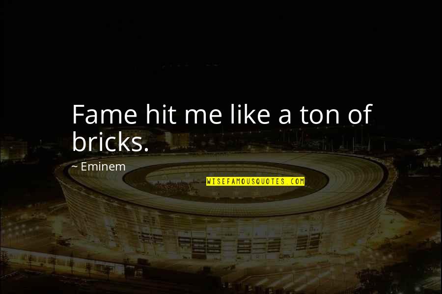 Moving Away From Home For The First Time Quotes By Eminem: Fame hit me like a ton of bricks.