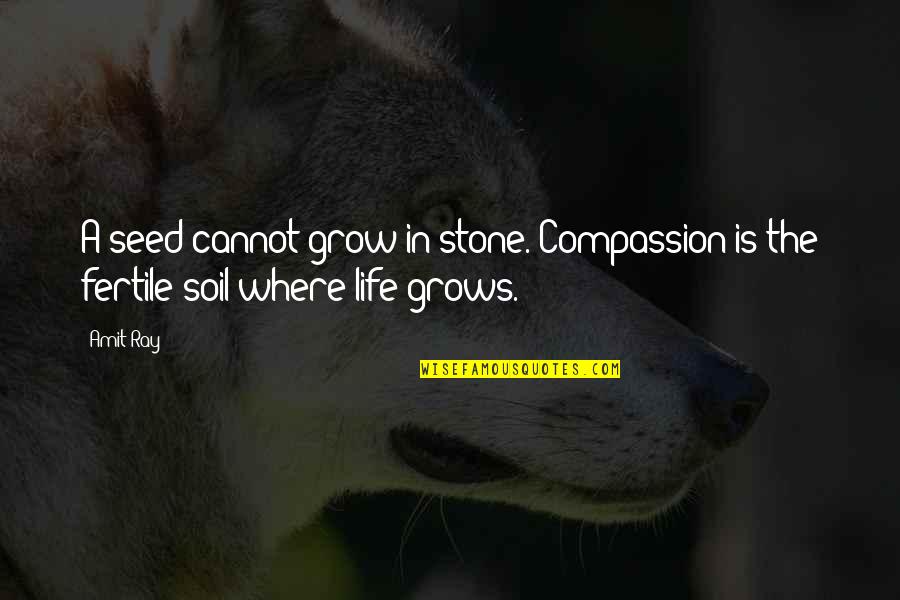 Moving Away From Your Friends Quotes By Amit Ray: A seed cannot grow in stone. Compassion is