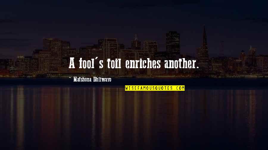 Moving Down South Quotes By Matshona Dhliwayo: A fool's toil enriches another.