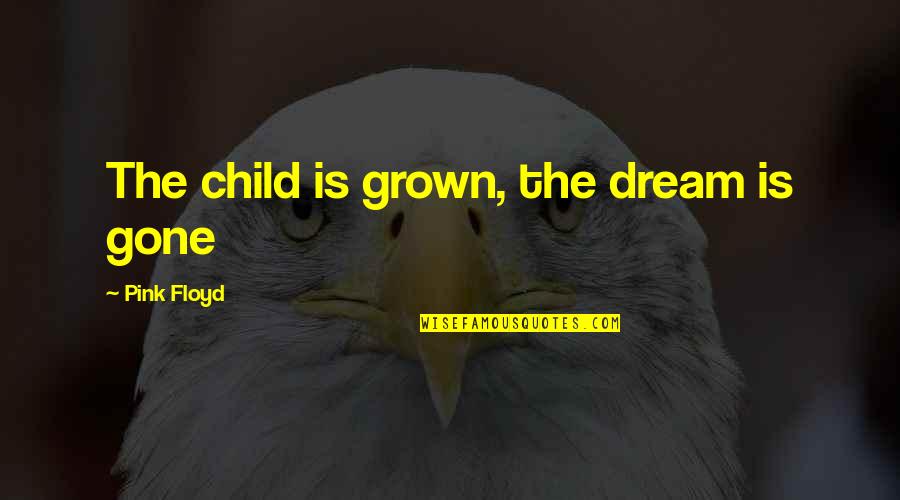 Moving Forward And Being Strong Quotes By Pink Floyd: The child is grown, the dream is gone