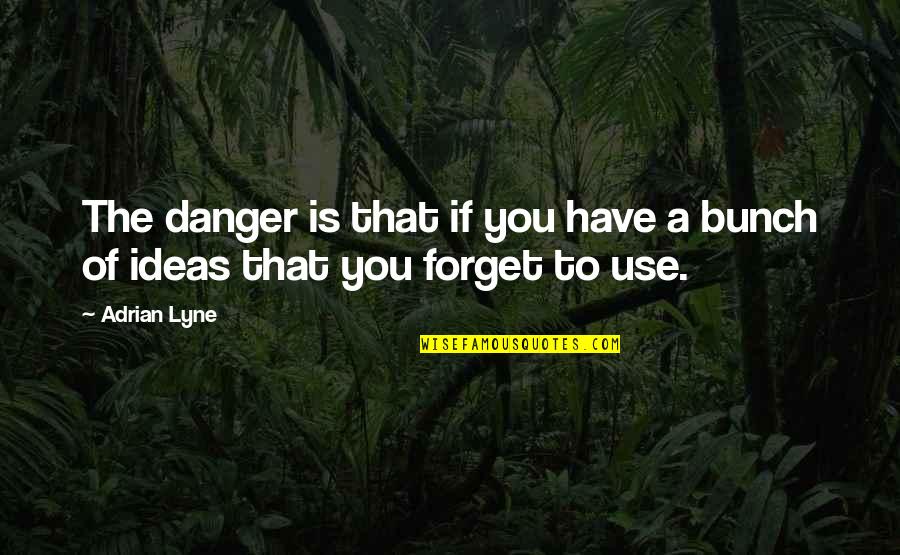 Moving Forward And Not Looking Back Quotes By Adrian Lyne: The danger is that if you have a