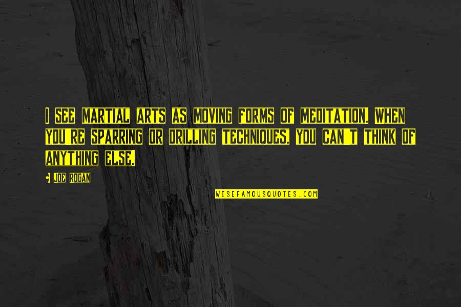 Moving Meditation Quotes By Joe Rogan: I see martial arts as moving forms of Moving Meditation Quotes By Joe Rogan: I see martial arts as moving forms of