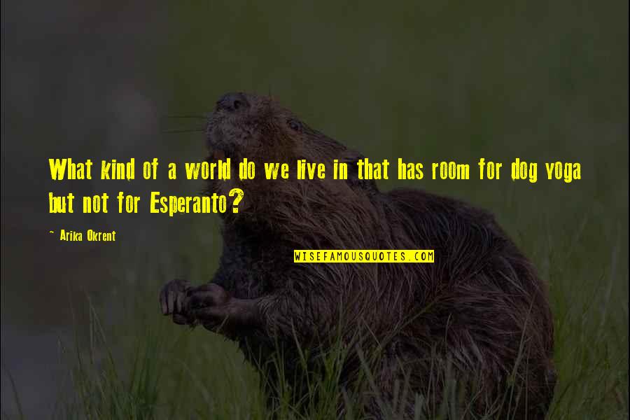 Moving On And Finding Someone Better Quotes By Arika Okrent: What kind of a world do we live