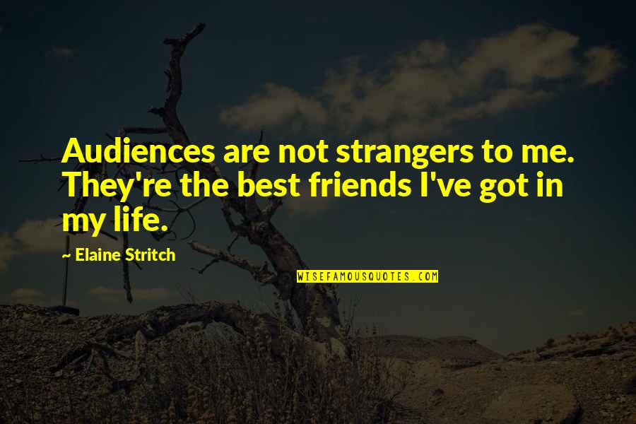 Moving Towards Excellence Quotes By Elaine Stritch: Audiences are not strangers to me. They're the