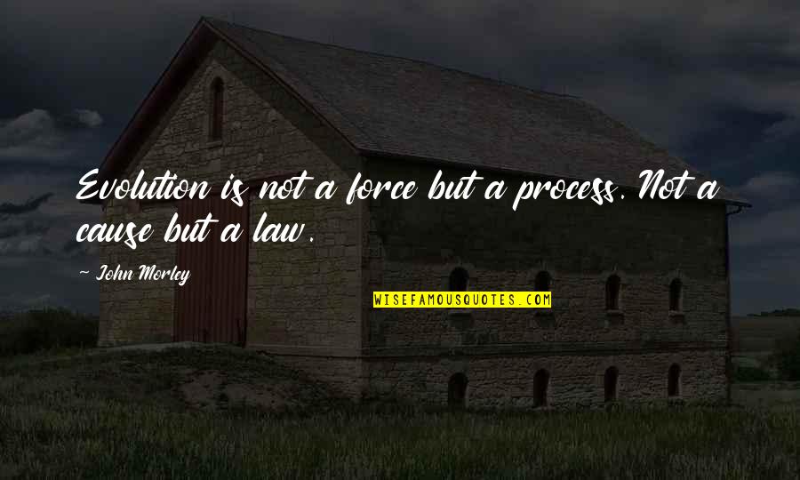 Mowins Grant Quotes By John Morley: Evolution is not a force but a process.