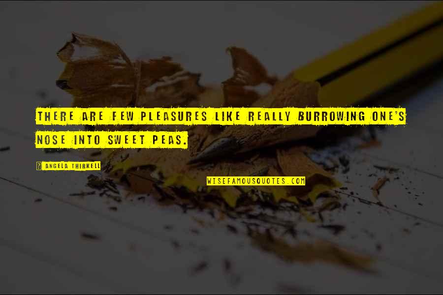Moyamensing Quotes By Angela Thirkell: There are few pleasures like really burrowing one's