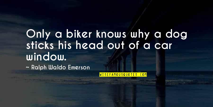Mozaffarian Behrooz Quotes By Ralph Waldo Emerson: Only a biker knows why a dog sticks
