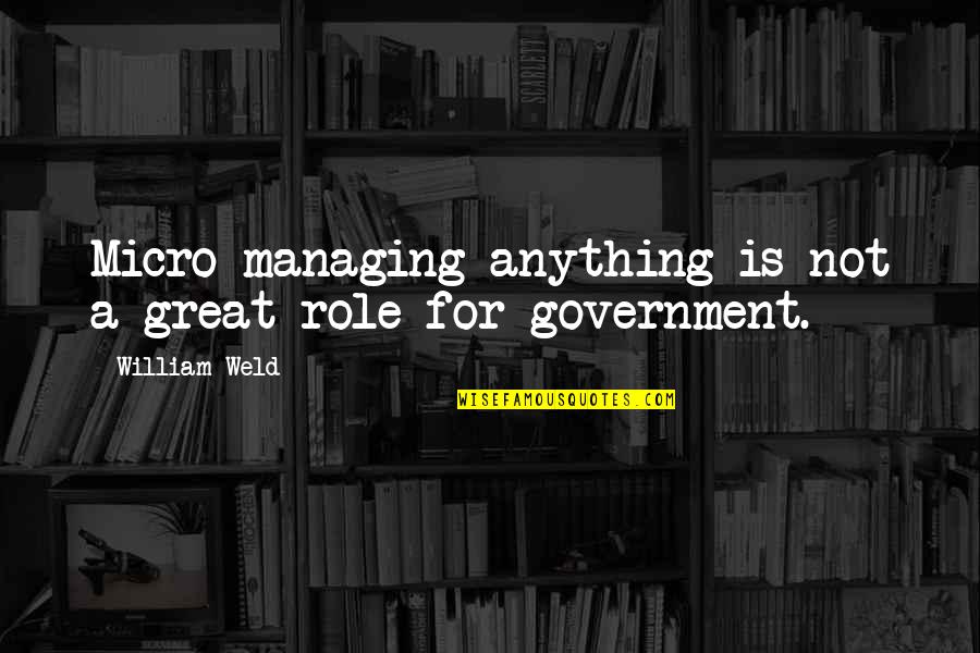 Mpca Stormwater Quotes By William Weld: Micro managing anything is not a great role