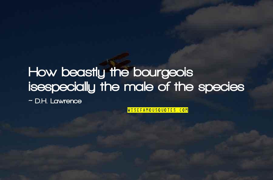 Mr. Beastly Quotes By D.H. Lawrence: How beastly the bourgeois isespecially the male of Mr. Beastly Quotes By D.H. Lawrence: How beastly the bourgeois isespecially the male of