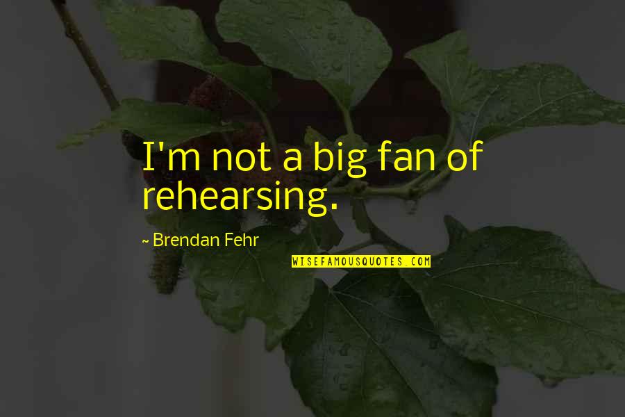 Mr Bigglesworth Quotes By Brendan Fehr: I'm not a big fan of rehearsing.