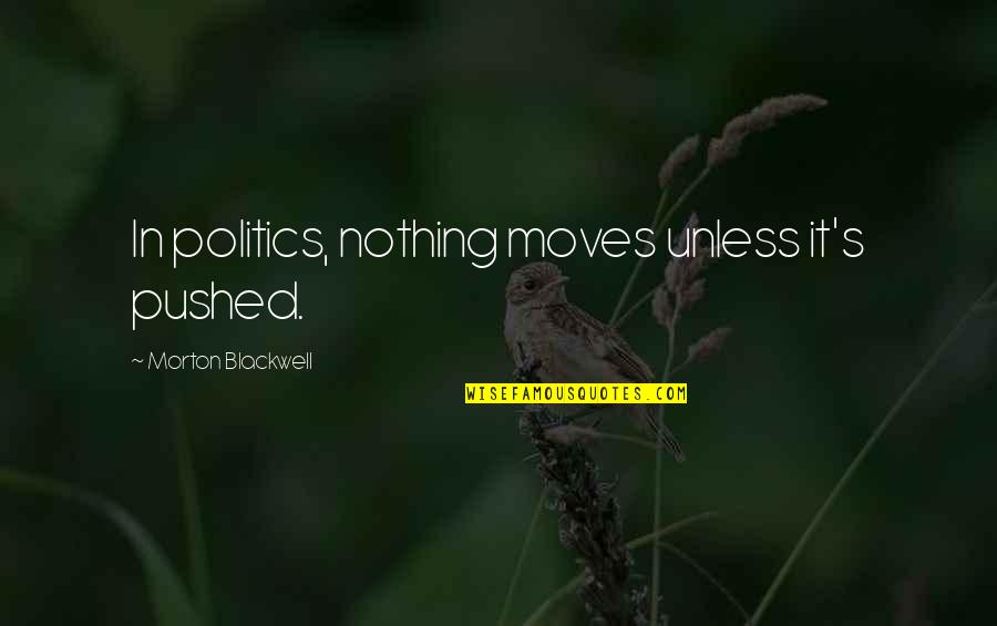Mr Blackwell Quotes By Morton Blackwell: In politics, nothing moves unless it's pushed.