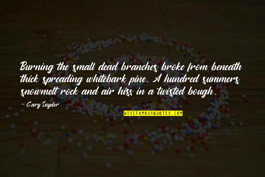 Mr Bough Quotes By Gary Snyder: Burning the small dead branches broke from beneath Mr Bough Quotes By Gary Snyder: Burning the small dead branches broke from beneath