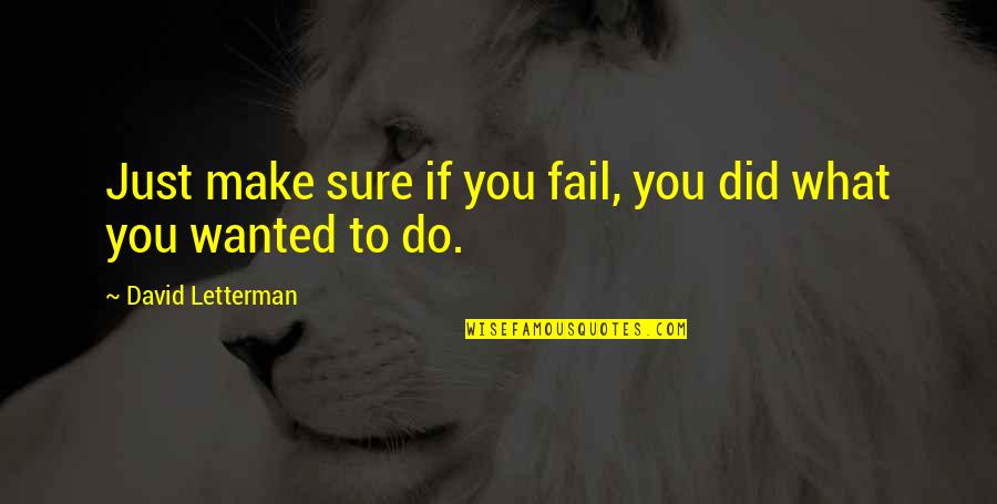 Mr Carter Movie Quotes By David Letterman: Just make sure if you fail, you did Mr Carter Movie Quotes By David Letterman: Just make sure if you fail, you did