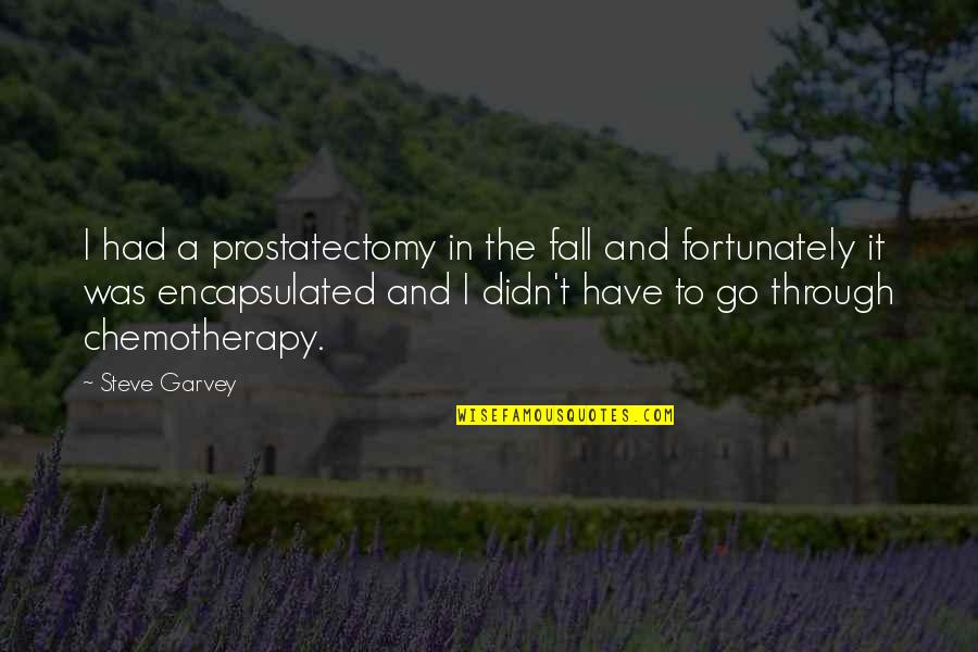 Mr Garvey Quotes By Steve Garvey: I had a prostatectomy in the fall and