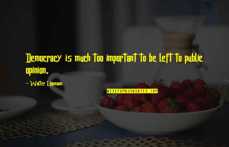 Mr Gatz Quotes By Walter Lippmann: Democracy is much too important to be left Mr Gatz Quotes By Walter Lippmann: Democracy is much too important to be left