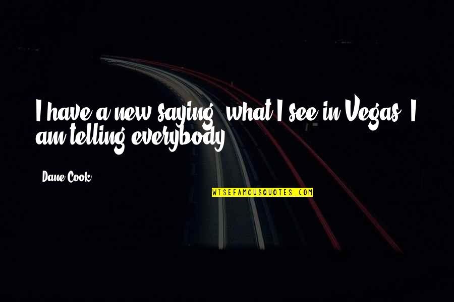 Mr New Vegas Quotes By Dane Cook: I have a new saying, what I see