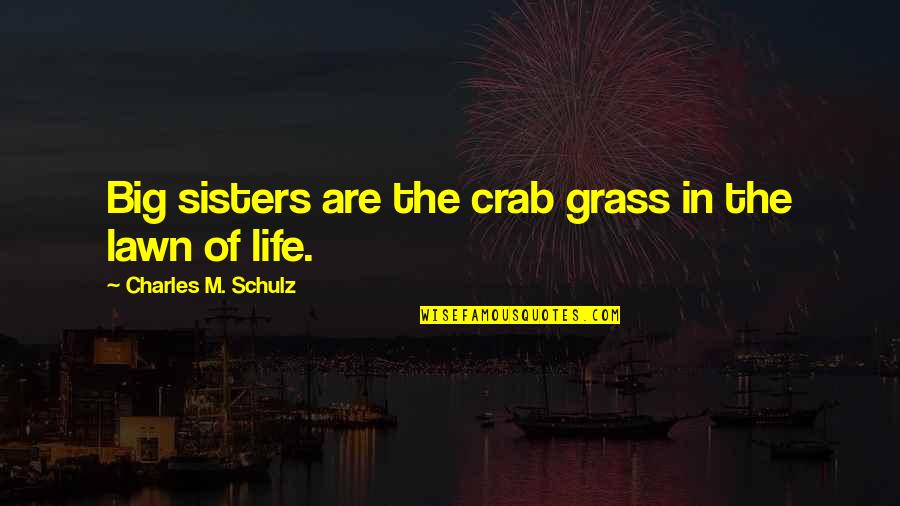 Mr Panos Quotes By Charles M. Schulz: Big sisters are the crab grass in the