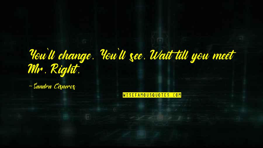 Mr Right Quotes By Sandra Cisneros: You'll change. You'll see. Wait till you meet