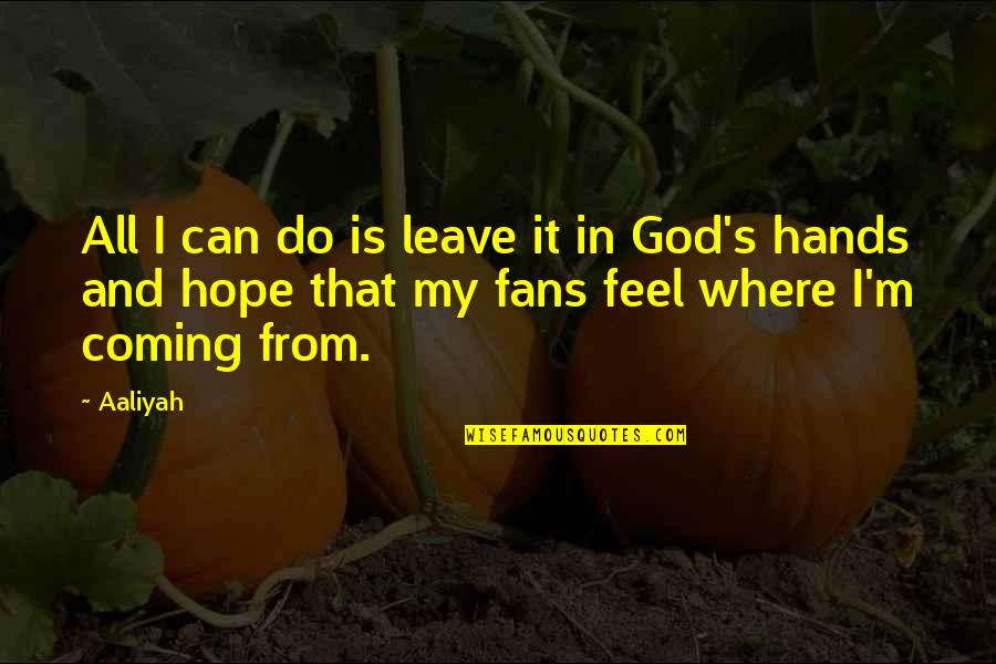Mr Rogers Leadership Quotes By Aaliyah: All I can do is leave it in