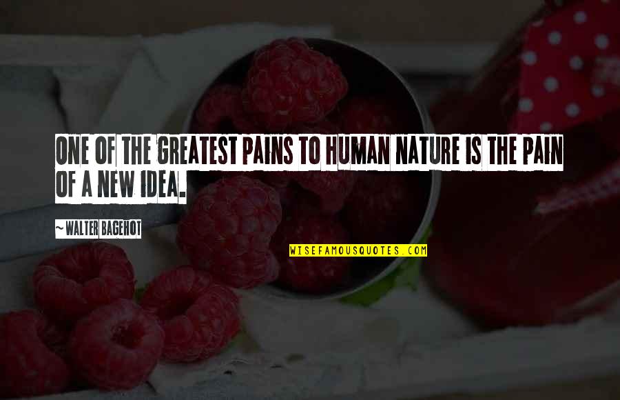 Mr Rogers Leadership Quotes By Walter Bagehot: One of the greatest pains to human nature