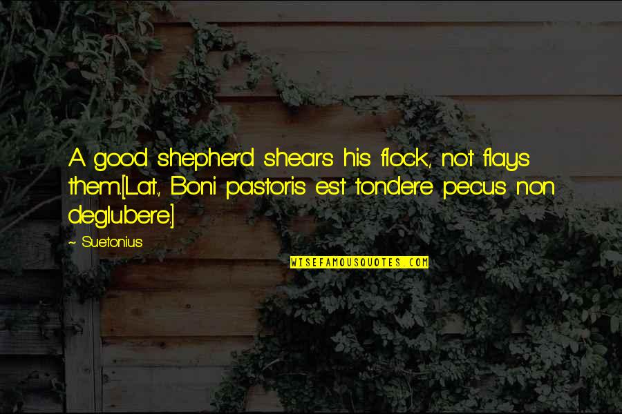 Mr Shears Quotes By Suetonius: A good shepherd shears his flock, not flays