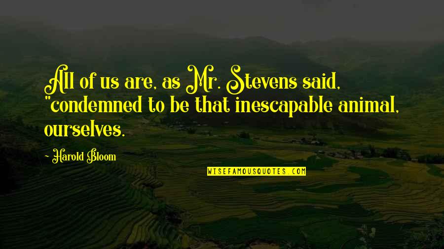 Mr Stevens Quotes By Harold Bloom: All of us are, as Mr. Stevens said, Mr Stevens Quotes By Harold Bloom: All of us are, as Mr. Stevens said,