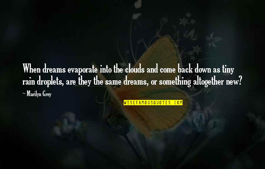 Mr Tiny Quotes By Marilyn Grey: When dreams evaporate into the clouds and come
