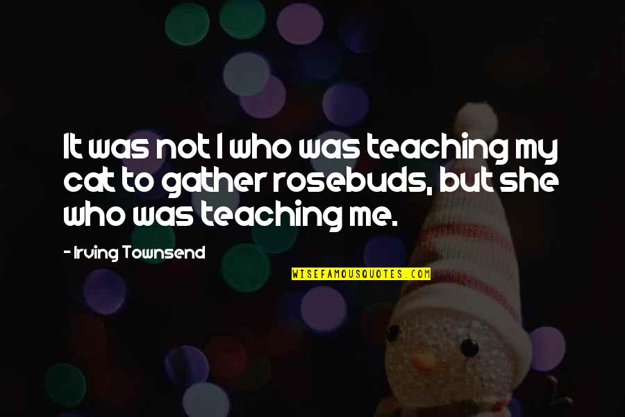 Mr Townsend Quotes By Irving Townsend: It was not I who was teaching my