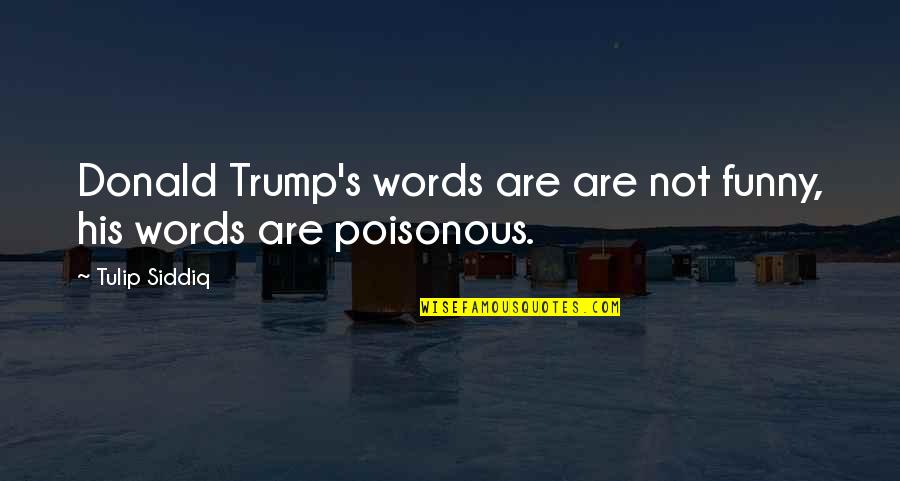 Mr Tulip Quotes By Tulip Siddiq: Donald Trump's words are are not funny, his