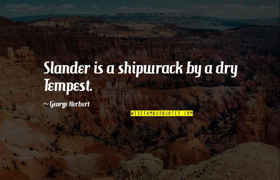 Mr Turner Dui Quotes By George Herbert: Slander is a shipwrack by a dry Tempest.