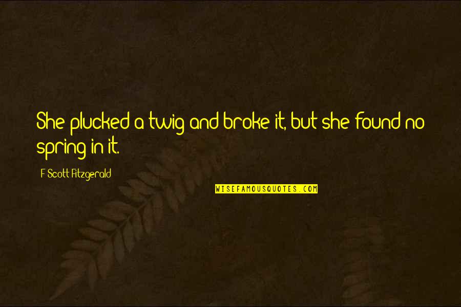Mr Twig Quotes By F Scott Fitzgerald: She plucked a twig and broke it, but