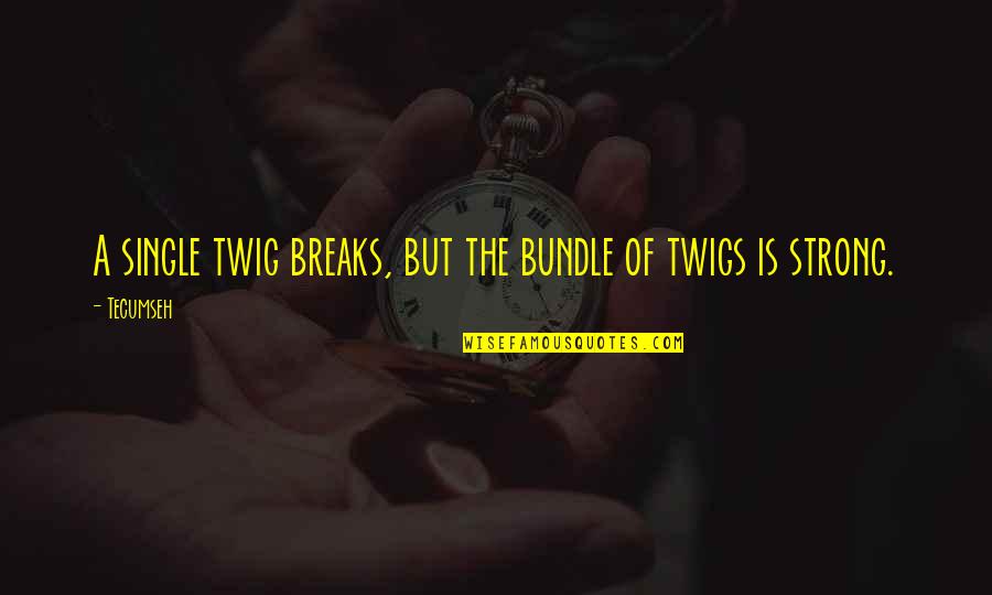 Mr Twig Quotes By Tecumseh: A single twig breaks, but the bundle of