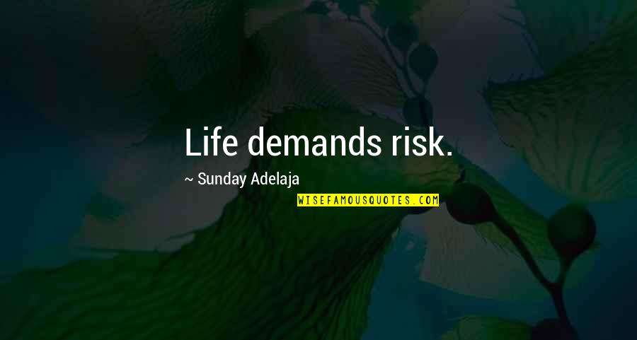 Mriganka Saxena Quotes By Sunday Adelaja: Life demands risk.