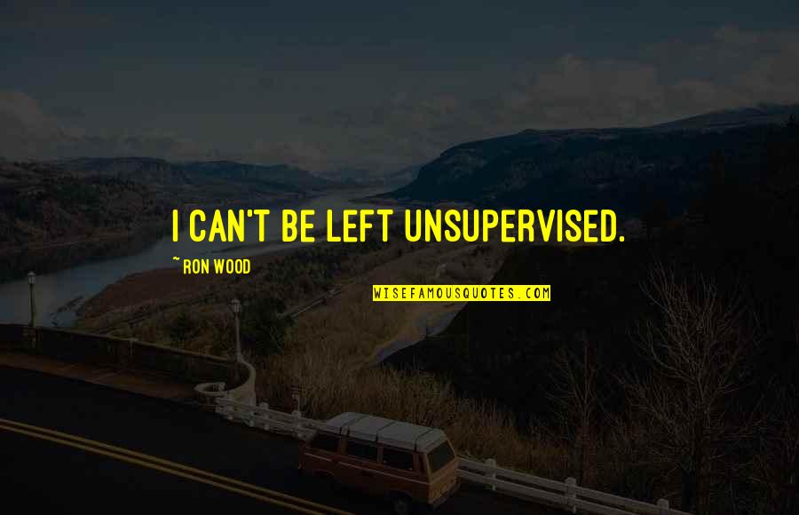 Mrito Noem Quotes By Ron Wood: I can't be left unsupervised.