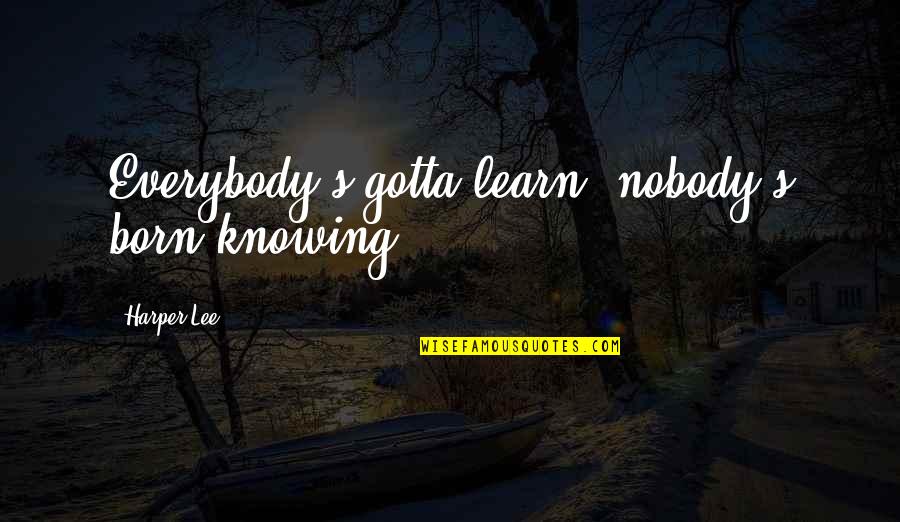 Mroczek Ethnicity Quotes By Harper Lee: Everybody's gotta learn, nobody's born knowing. Mroczek Ethnicity Quotes By Harper Lee: Everybody's gotta learn, nobody's born knowing.