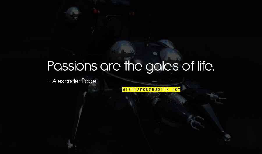 Mrrrhhhm Quotes By Alexander Pope: Passions are the gales of life.