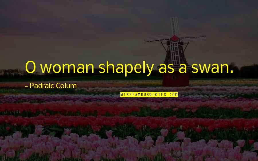 Mrs Swan Quotes By Padraic Colum: O woman shapely as a swan.