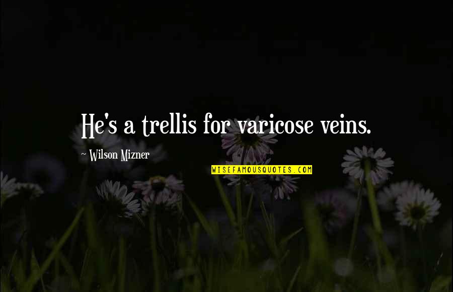 Mrs Trellis Quotes By Wilson Mizner: He's a trellis for varicose veins.