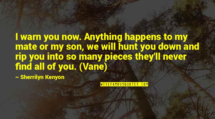 Mrs Vane Quotes By Sherrilyn Kenyon: I warn you now. Anything happens to my