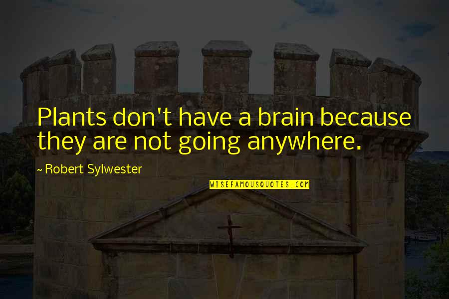 Mrsick Quotes By Robert Sylwester: Plants don't have a brain because they are Mrsick Quotes By Robert Sylwester: Plants don't have a brain because they are