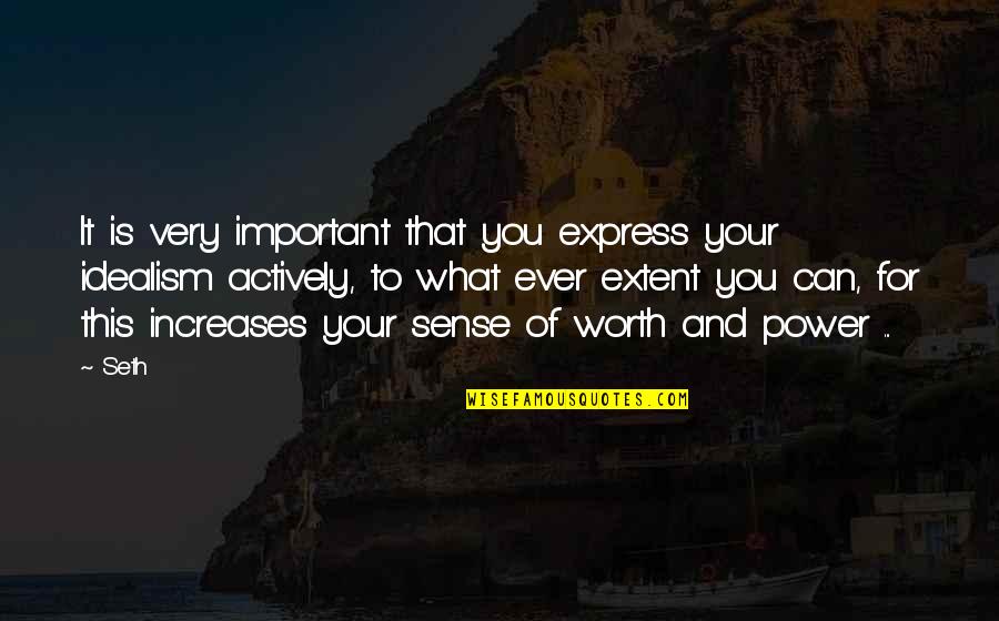 Mrunas Africa Quotes By Seth: It is very important that you express your