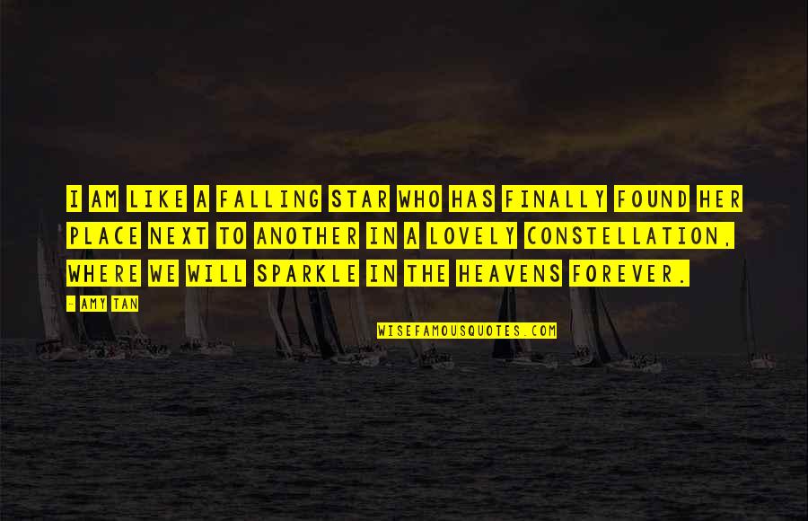 Ms Rothschild Quotes By Amy Tan: I am like a falling star who has Ms Rothschild Quotes By Amy Tan: I am like a falling star who has