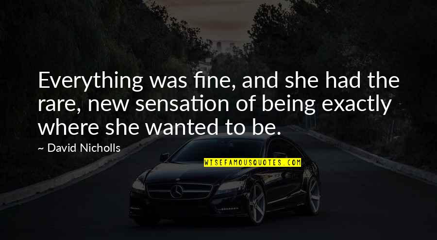 Msnap Quest Quotes By David Nicholls: Everything was fine, and she had the rare,