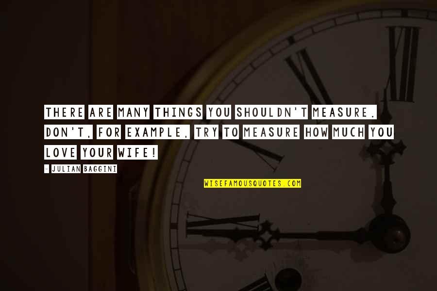 Msnap Quest Quotes By Julian Baggini: There are many things you shouldn't measure. Don't, Msnap Quest Quotes By Julian Baggini: There are many things you shouldn't measure. Don't,