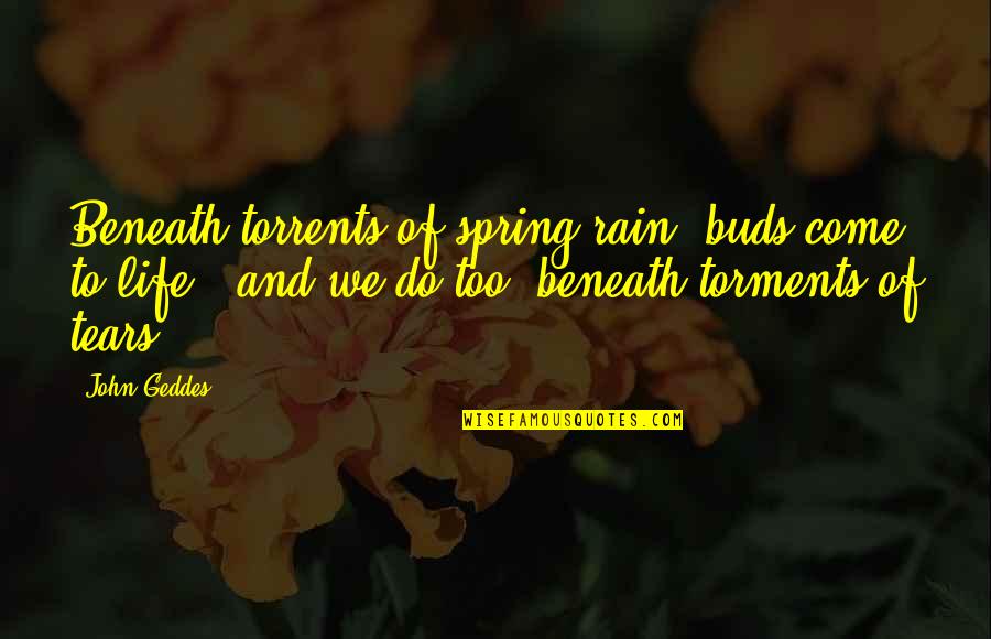 Mu Origin Quotes By John Geddes: Beneath torrents of spring rain, buds come to Mu Origin Quotes By John Geddes: Beneath torrents of spring rain, buds come to