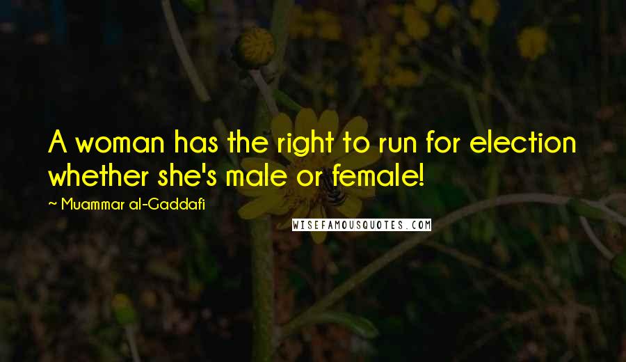 Muammar Al-Gaddafi quotes: A woman has the right to run for election whether she's male or female! Muammar Al-Gaddafi quotes: A woman has the right to run for election whether she's male or female!