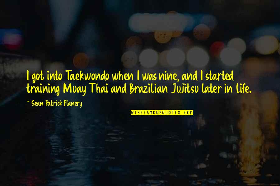 Muay Quotes By Sean Patrick Flanery: I got into Taekwondo when I was nine,