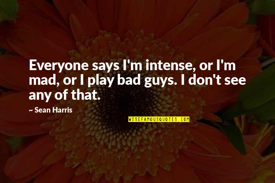 Muay Thai Inspirational Quotes By Sean Harris: Everyone says I'm intense, or I'm mad, or