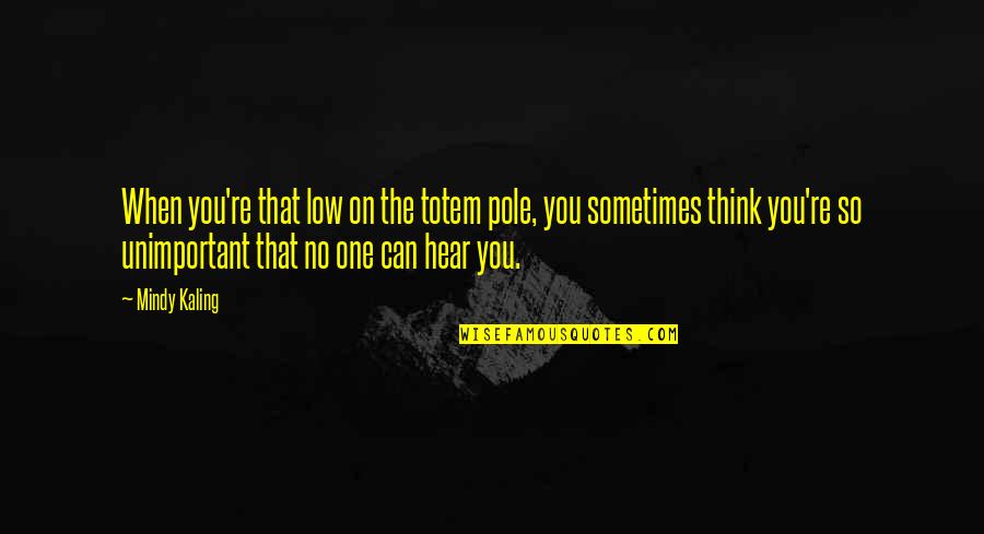 Much Ado About Nothing Battle Of The Sexes Quotes By Mindy Kaling: When you're that low on the totem pole,