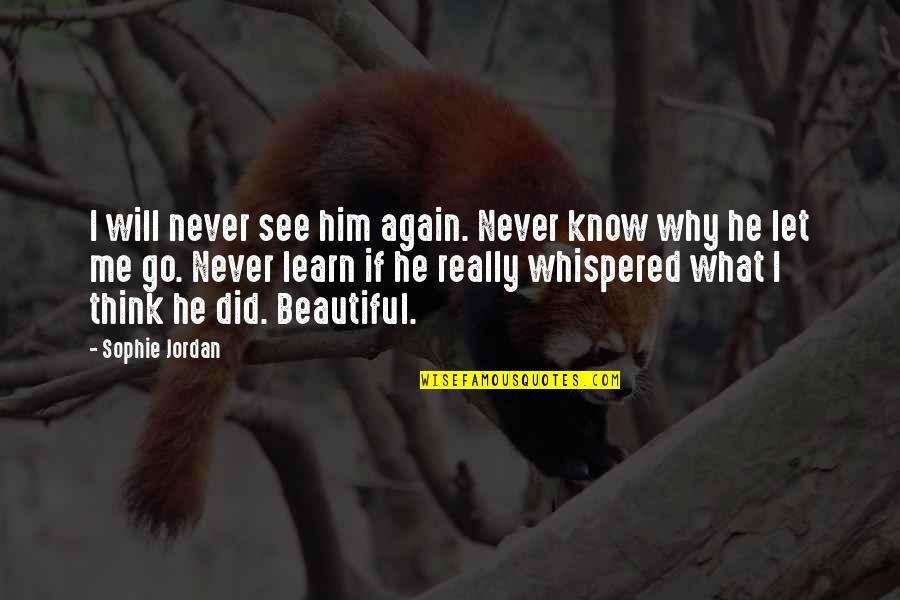 Much Needed Break Quotes By Sophie Jordan: I will never see him again. Never know